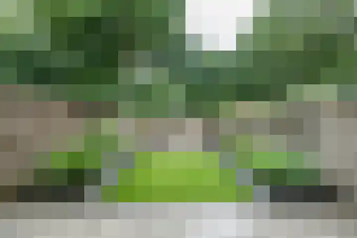 Ruiterakker 67 Assen thumbnail 26