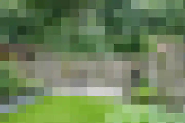 Ruiterakker 67 Assen thumbnail 27
