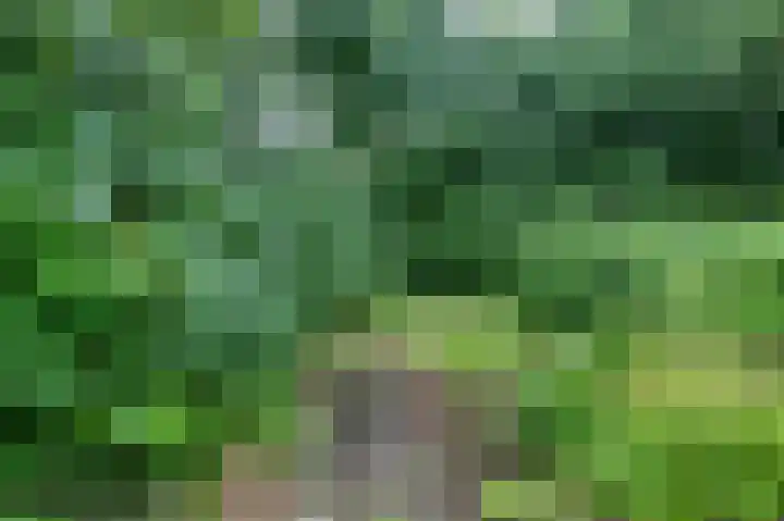 Ruiterakker 67 Assen thumbnail 31