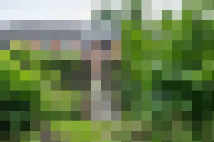 Ruiterakker 67 Assen thumbnail 32
