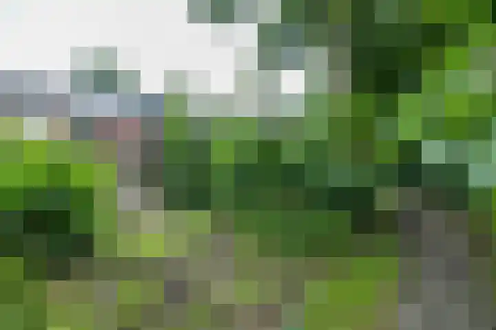 Ruiterakker 67 Assen thumbnail 33