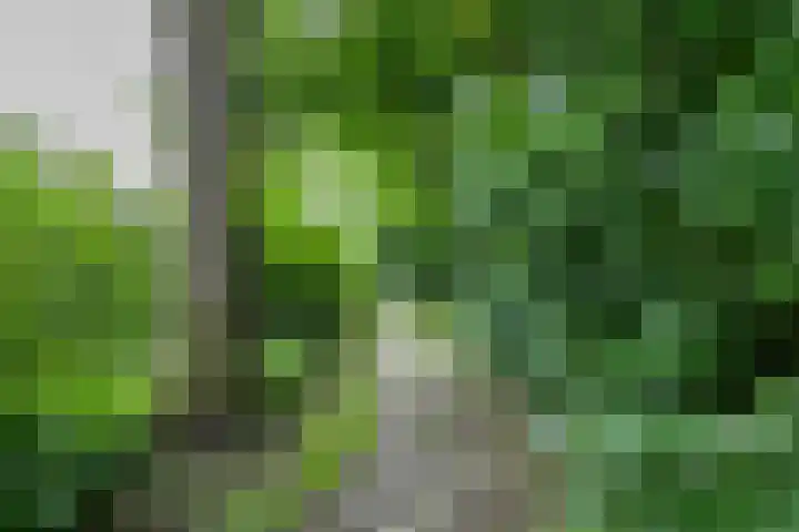 Ruiterakker 67 Assen thumbnail 34