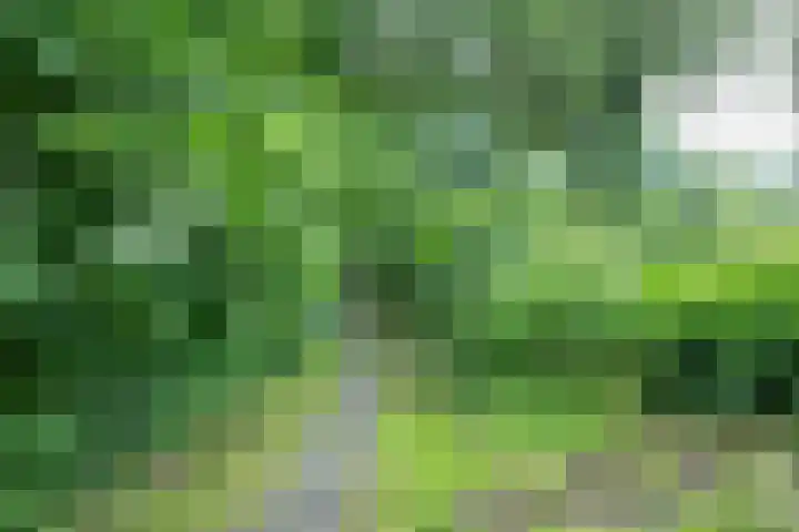 Ruiterakker 67 Assen thumbnail 35