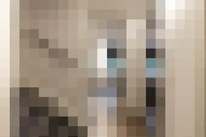 Ruiterakker 67 Assen thumbnail 39