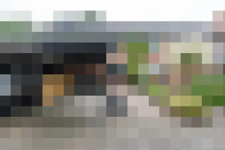 Ruiterakker 67 Assen thumbnail 4