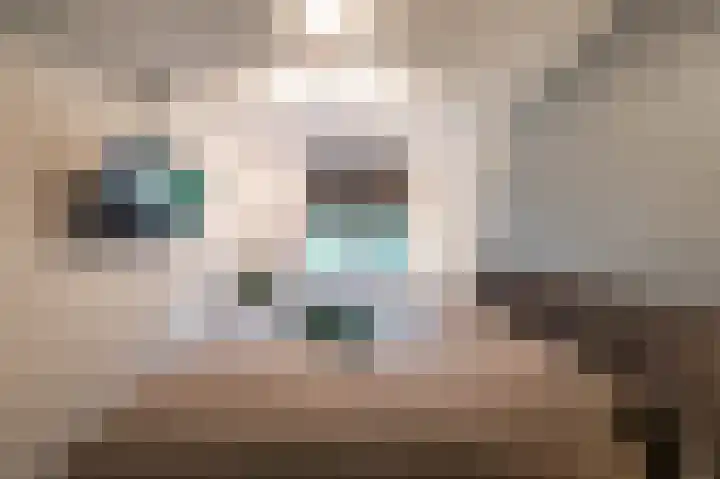 Ruiterakker 67 Assen thumbnail 42