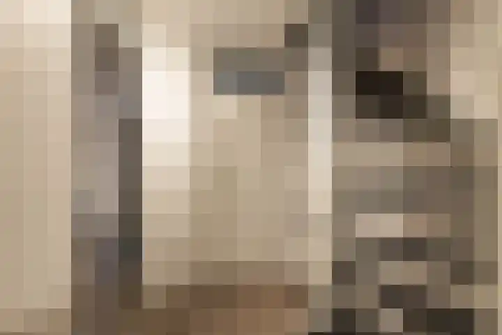 Ruiterakker 67 Assen thumbnail 43