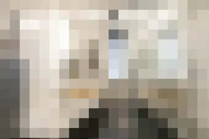 Ruiterakker 67 Assen thumbnail 47