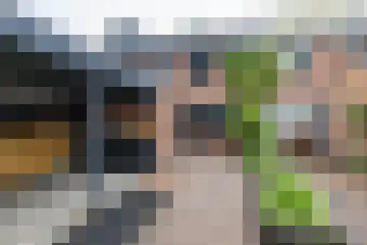 Ruiterakker 67 Assen thumbnail 5