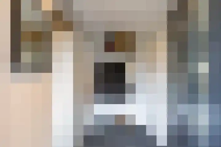 Ruiterakker 67 Assen thumbnail 7