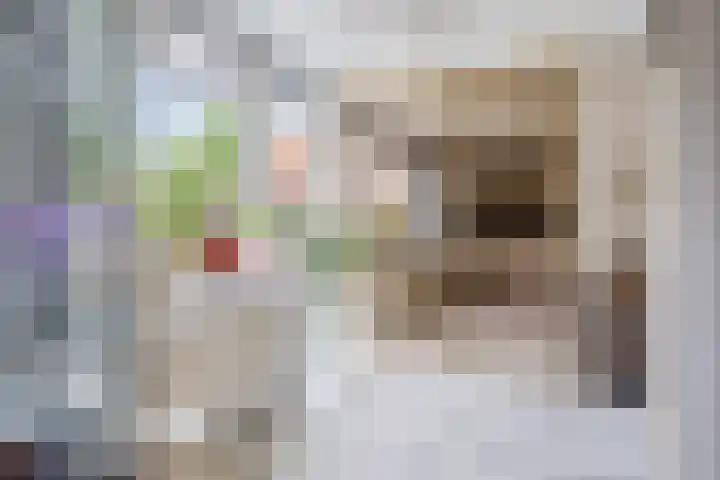 Ruiterakker 81 Assen thumbnail 10