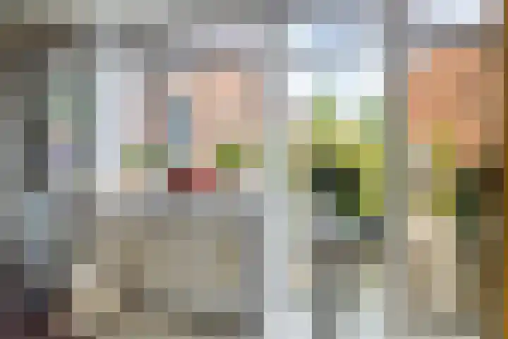 Ruiterakker 81 Assen thumbnail 11