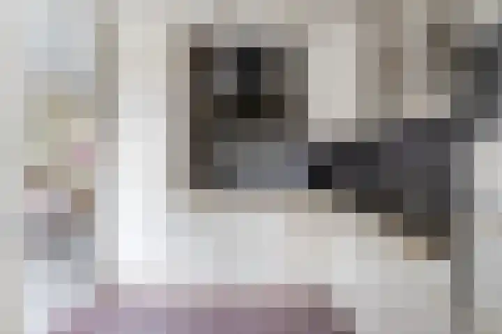 Ruiterakker 81 Assen thumbnail 13