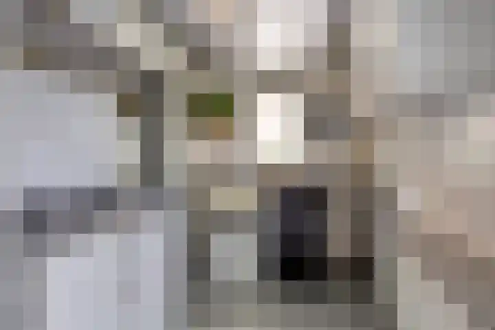 Ruiterakker 81 Assen thumbnail 14