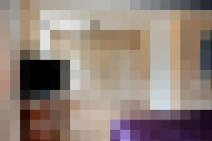 Ruiterakker 81 Assen thumbnail 17