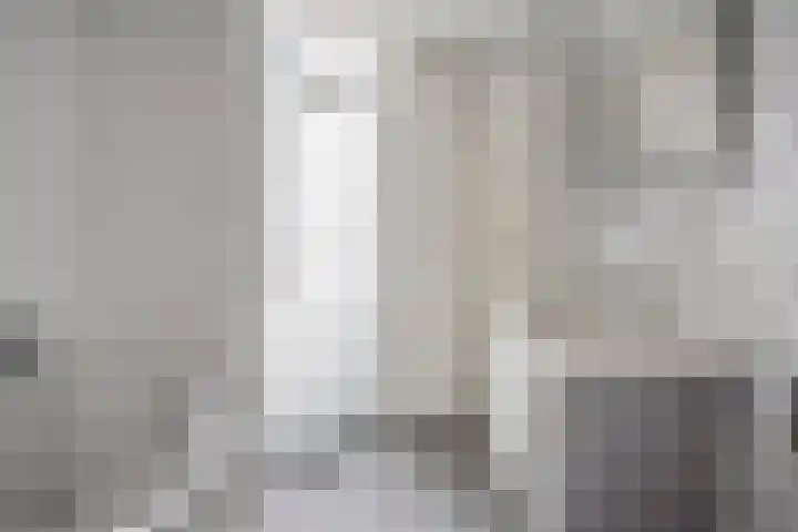 Ruiterakker 81 Assen thumbnail 18