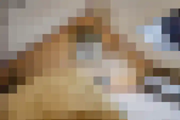Ruiterakker 81 Assen thumbnail 24