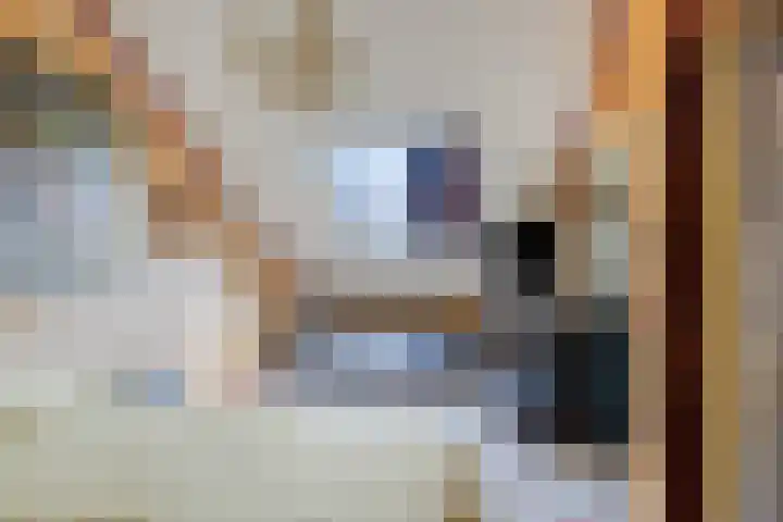 Ruiterakker 81 Assen thumbnail 25