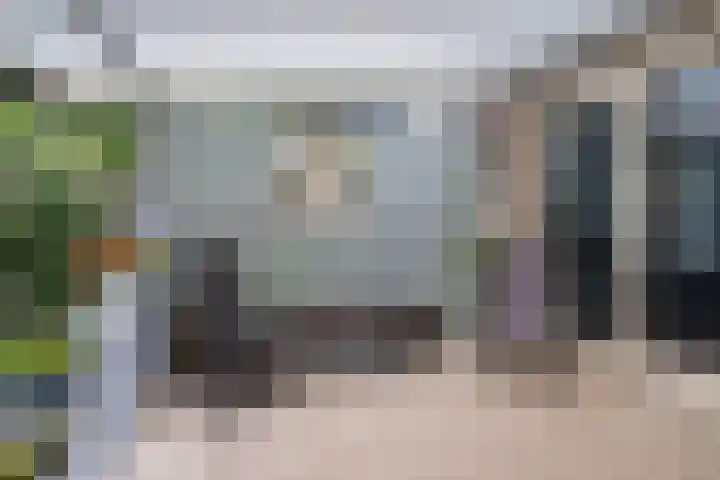 Ruiterakker 81 Assen thumbnail 26