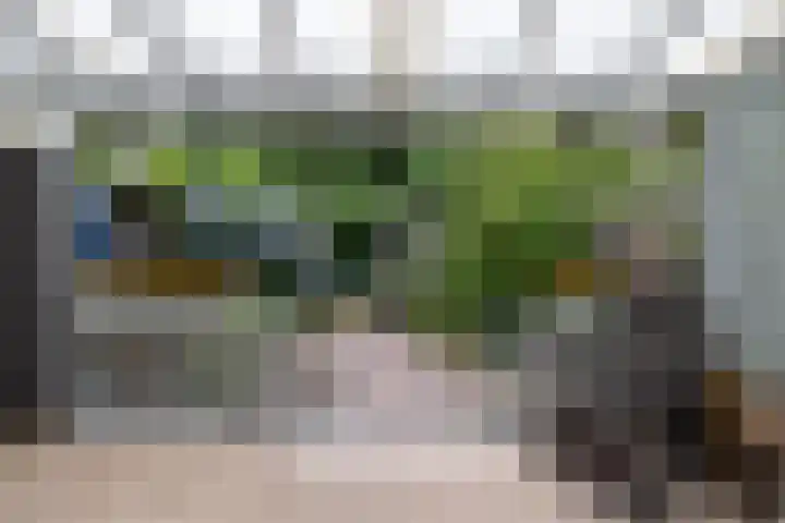 Ruiterakker 81 Assen thumbnail 27
