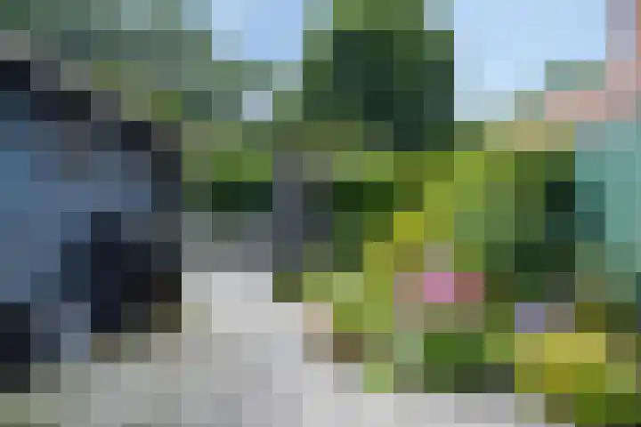 Ruiterakker 81 Assen thumbnail 31