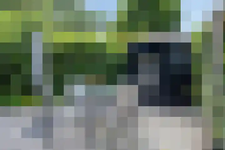 Ruiterakker 81 Assen thumbnail 32