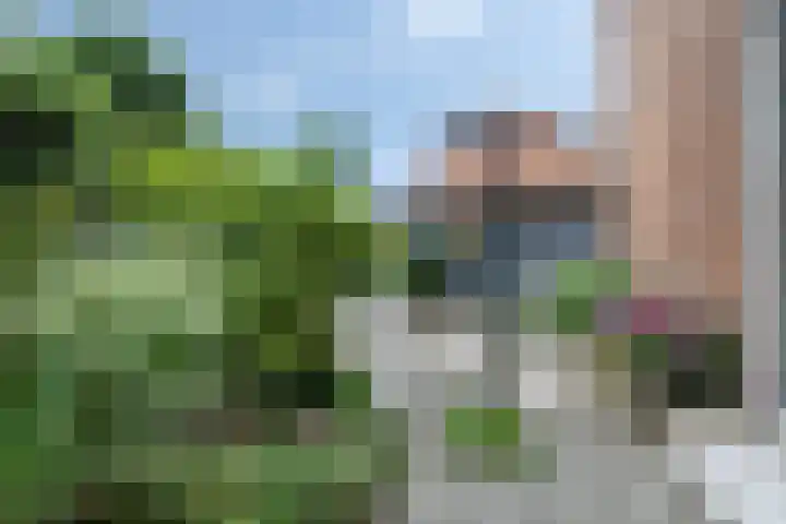 Ruiterakker 81 Assen thumbnail 33