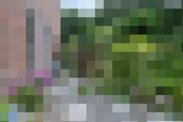Ruiterakker 81 Assen thumbnail 34