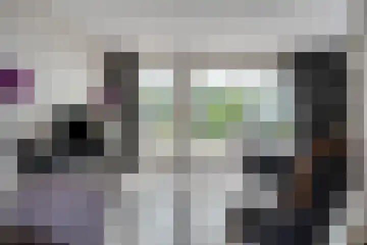 Ruiterakker 81 Assen thumbnail 4