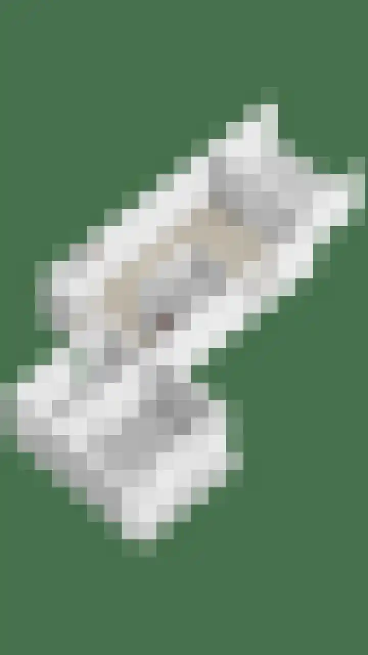 Ruiterakker 81 Assen thumbnail 40