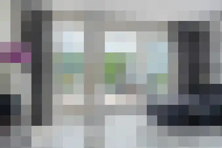 Ruiterakker 81 Assen thumbnail 5