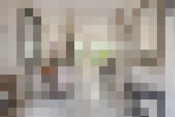 Ruiterakker 81 Assen thumbnail 8