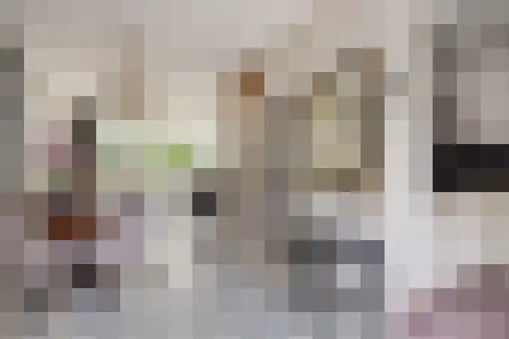 Ruiterakker 81 Assen thumbnail 9