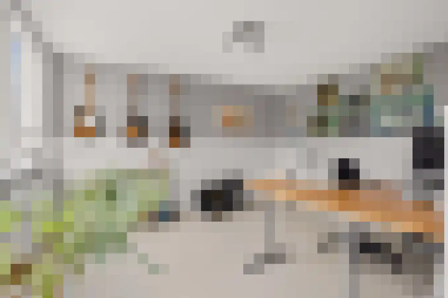 Ruitercamp 115 Houten thumbnail 28