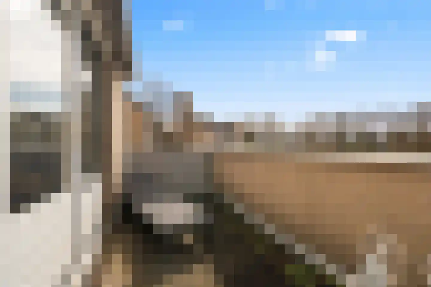 Ruitercamp 115 Houten thumbnail 36