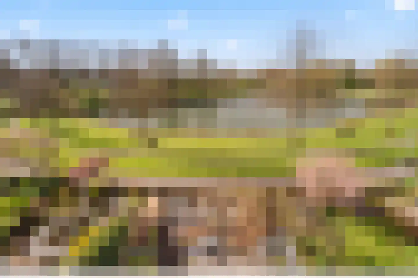 Ruitercamp 115 Houten thumbnail 37