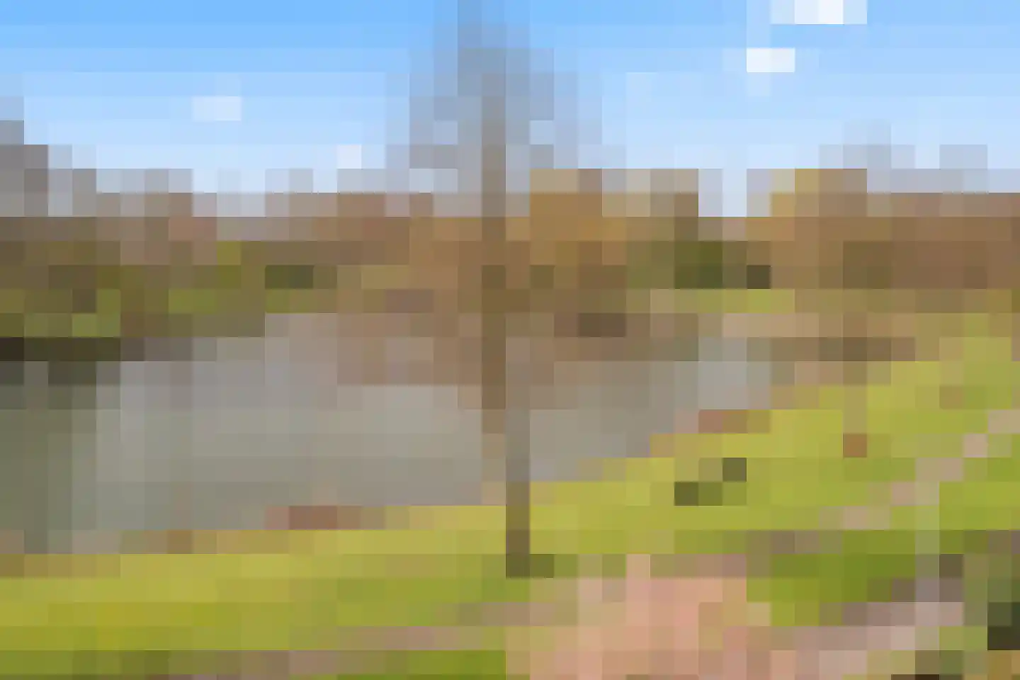Ruitercamp 115 Houten thumbnail 38