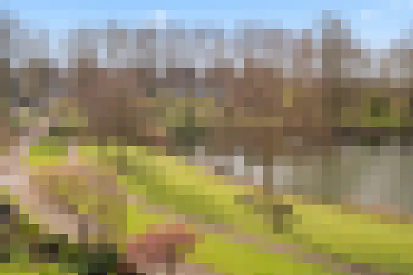 Ruitercamp 115 Houten thumbnail 39
