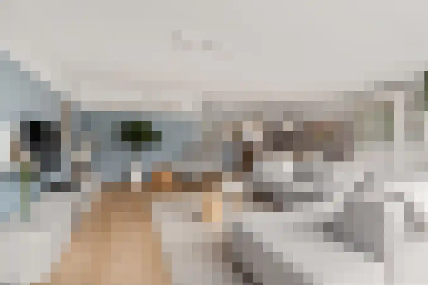 Ruitercamp 115 Houten thumbnail 4