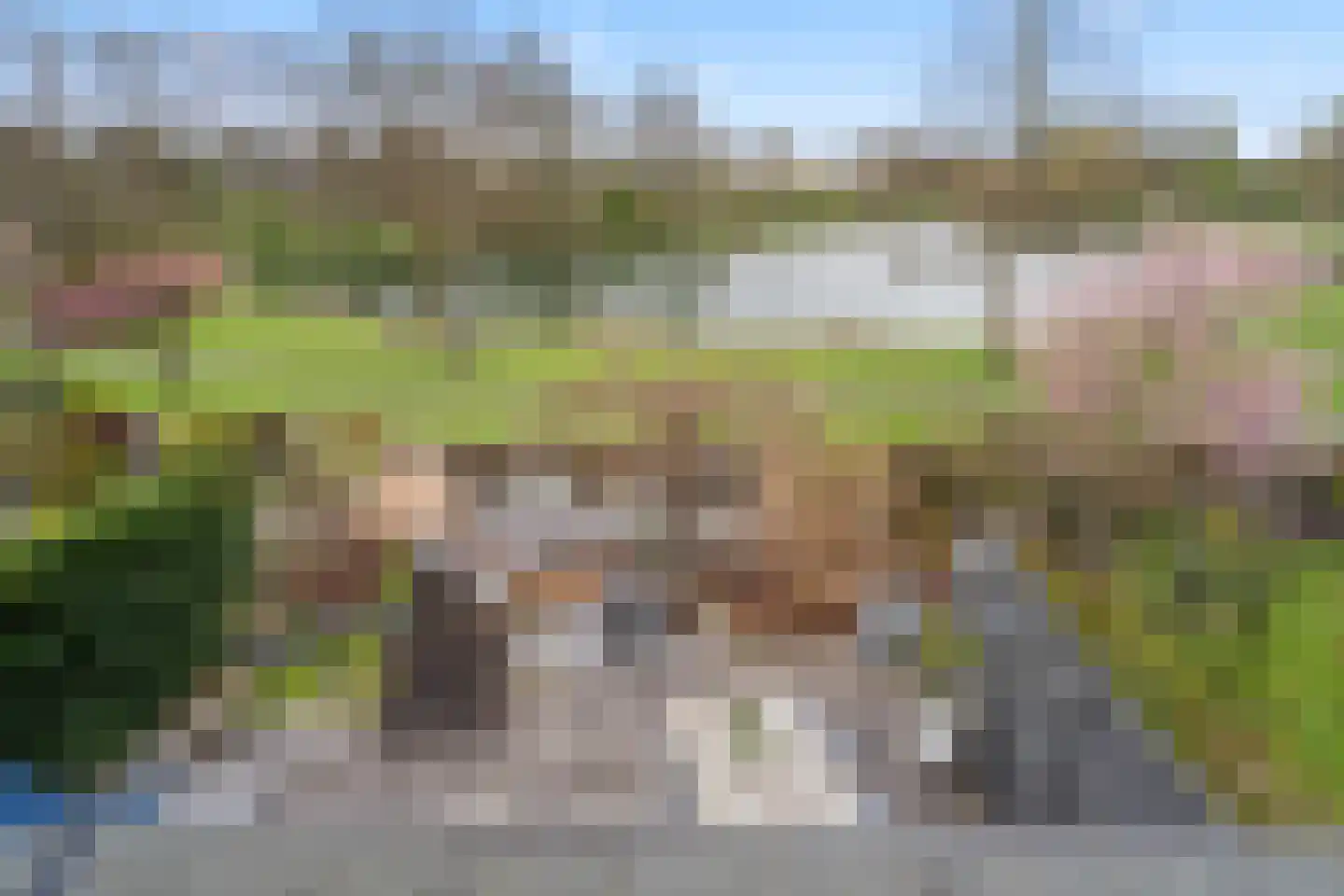 Ruitercamp 115 Houten thumbnail 40