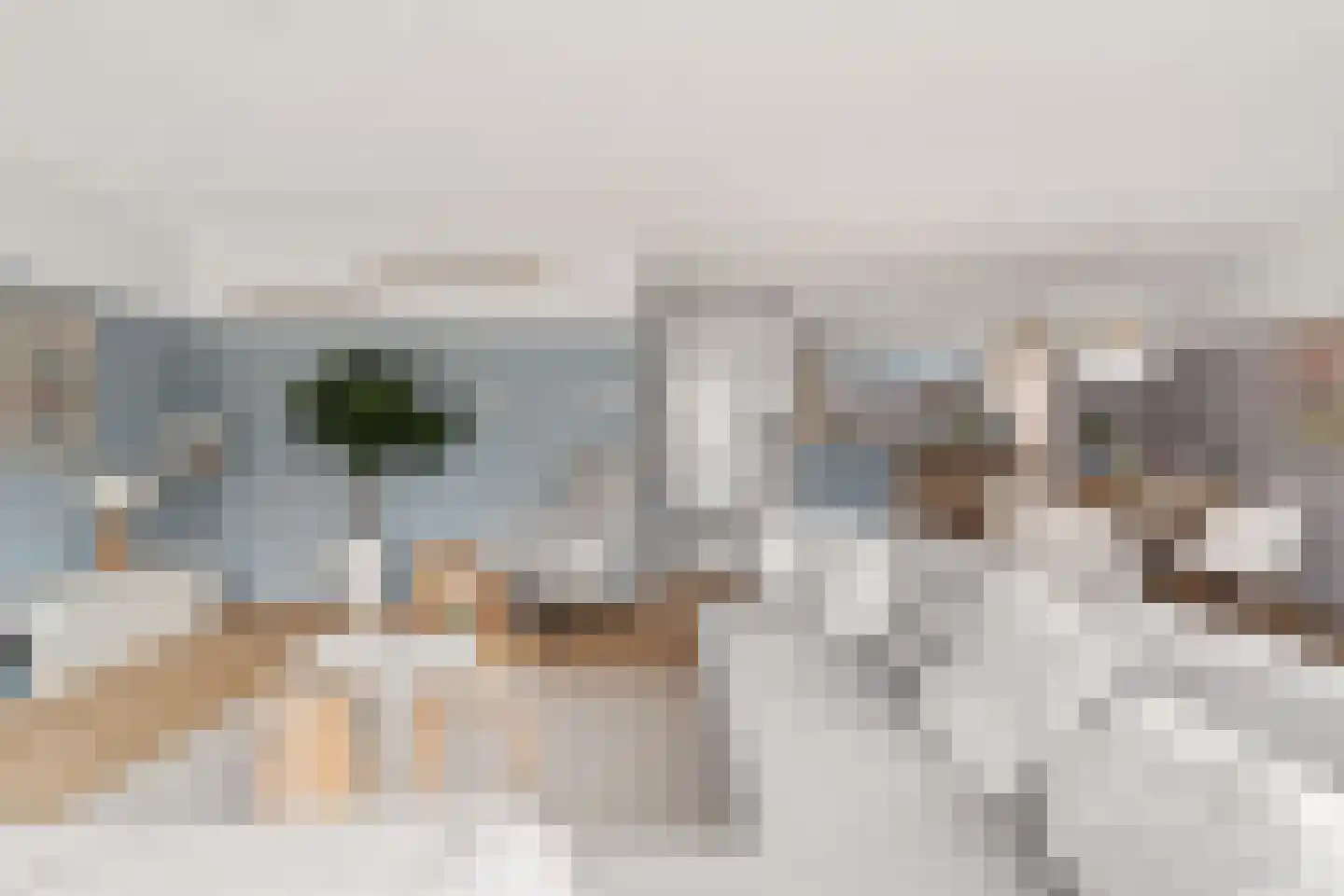 Ruitercamp 115 Houten thumbnail 5