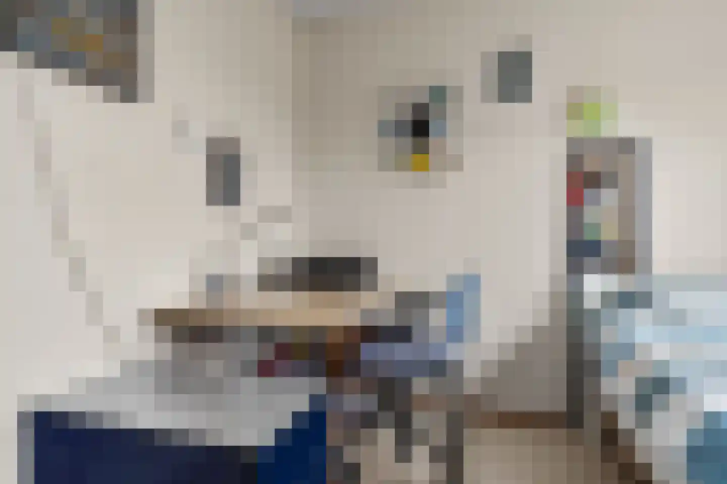 Ruitercamp 151 Houten thumbnail 12