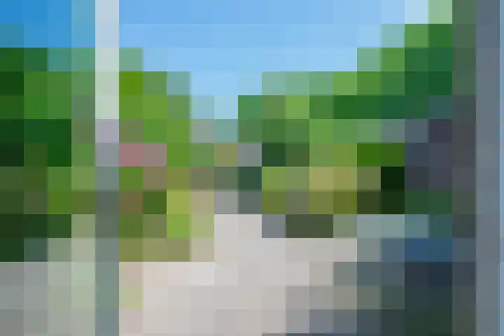 Ruitercamp 28 Houten thumbnail 11