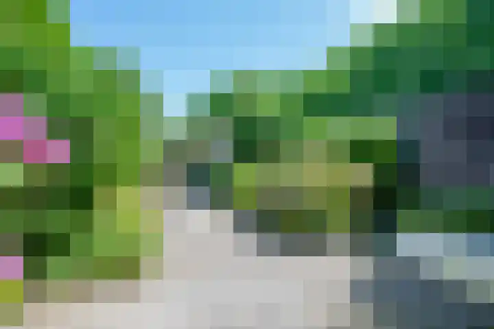 Ruitercamp 28 Houten thumbnail 12