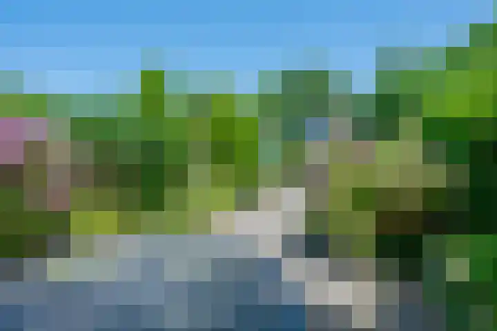 Ruitercamp 28 Houten thumbnail 13
