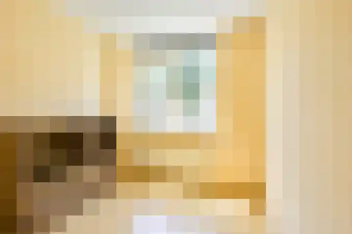 Ruitercamp 28 Houten thumbnail 23