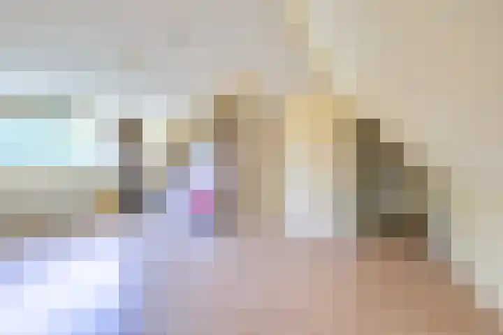 Ruitercamp 28 Houten thumbnail 24