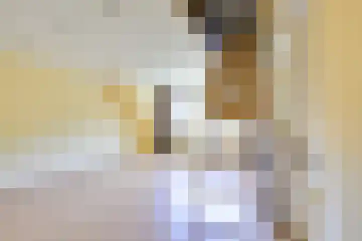 Ruitercamp 28 Houten thumbnail 26