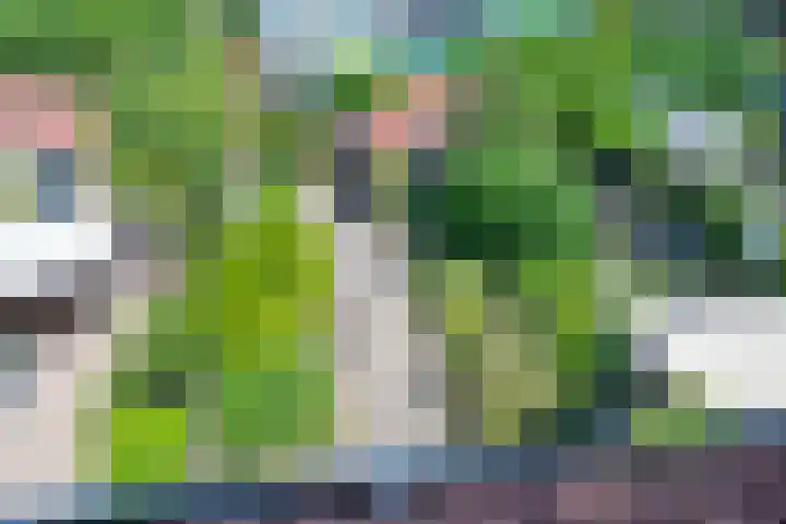 Ruitercamp 28 Houten thumbnail 28
