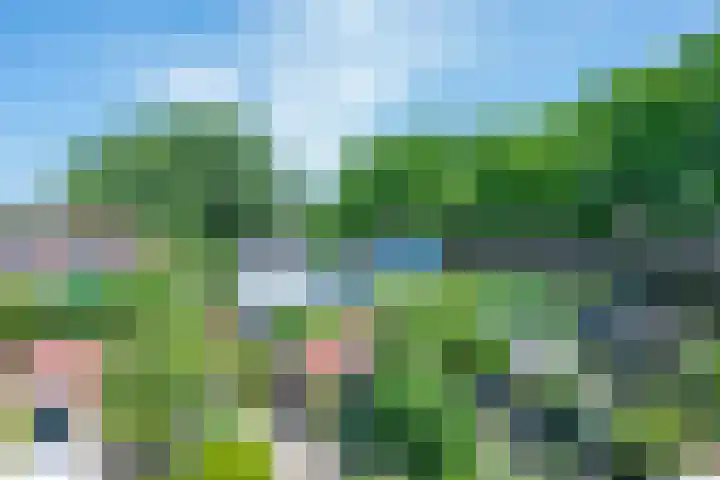 Ruitercamp 28 Houten thumbnail 29